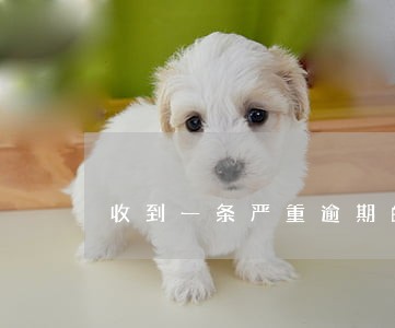 收到一条严重逾期的短信 收到一条严重逾期的短信