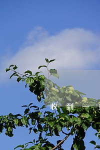 收到一条信用卡逾期立案短信
