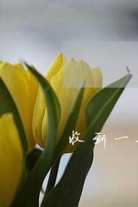 收到一条信用逾期短信 收到一条信用逾期短信