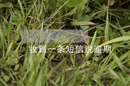 收到一条短信说逾期 收到一条短信说逾期
