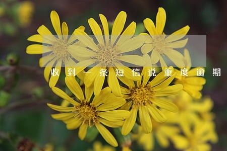 收到一条短信说重度逾期案件 收到一条短信说重度逾期案件