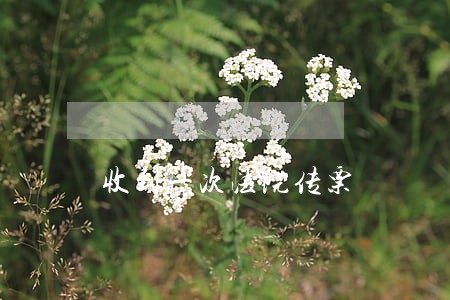 收到一次法院传票 收到一次法院传票
