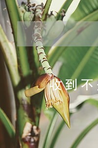 收到不是本人的逾期短信 收到不是本人的逾期短信