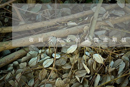 收到不知名的贷款逾期信息 收到不知名的贷款逾期信息