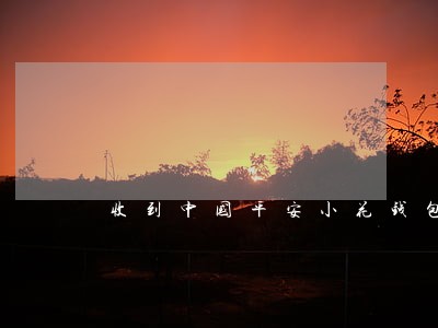 收到中国平安小花钱包逾期的短信 收到中国平安小花钱包逾期的短信