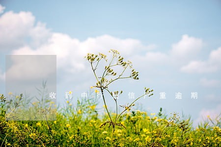 收到中行短信严重逾期 收到中行短信严重逾期