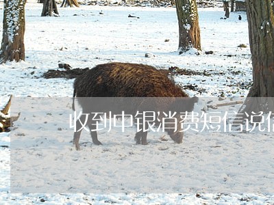 收到中银消费短信说信用卡逾期 收到中银消费短信说信用卡逾期