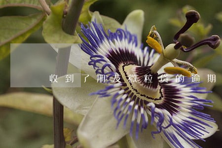 收到了朋友微粒贷的逾期短信 收到了朋友微粒贷的逾期短信