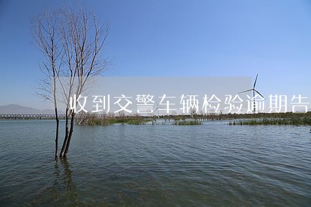 收到交警车辆检验逾期告知单 收到交警车辆检验逾期告知单
