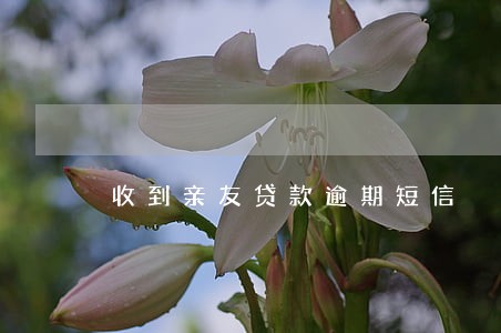 收到亲友贷款逾期短信 收到亲友贷款逾期短信