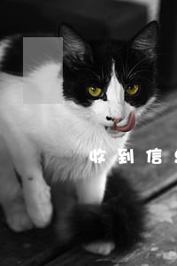 收到信息住房公积金逾期