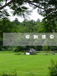 收到信息信用卡逾期 收到信息信用卡逾期