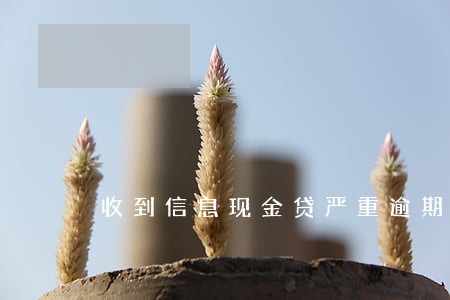 收到信息现金贷严重逾期 收到信息现金贷严重逾期