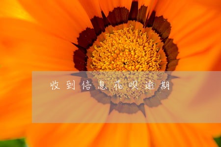 收到信息花呗逾期 收到信息花呗逾期