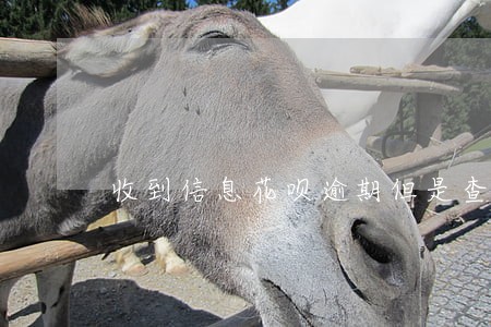 收到信息花呗逾期但是查不到逾期 收到信息花呗逾期但是查不到逾期