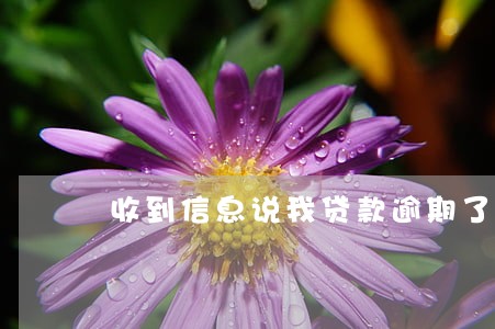 收到信息说我贷款逾期了 收到信息说我贷款逾期了