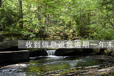 收到信息说我逾期一年未还款 收到信息说我逾期一年未还款