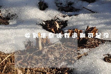 收到信息说我逾期可是没借款 收到信息说我逾期可是没借款