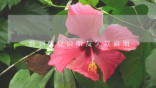 收到信息说朋友欠款逾期 收到信息说朋友欠款逾期
