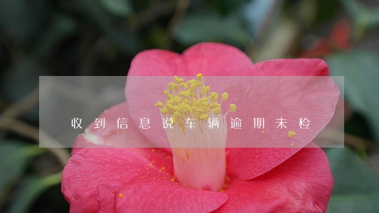 收到信息说车辆逾期未检 收到信息说车辆逾期未检