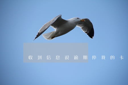 收到信息说逾期停我的卡 收到信息说逾期停我的卡