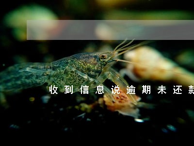 收到信息说逾期未还款 收到信息说逾期未还款