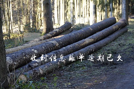 收到信息账单逾期已久 收到信息账单逾期已久