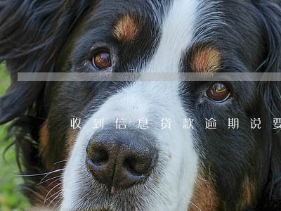 收到信息贷款逾期说要公示 收到信息贷款逾期说要公示