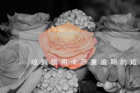收到信用卡严重逾期的短信 收到信用卡严重逾期的短信