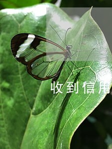 收到信用卡逾期传票会通知吗