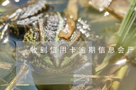 收到信用卡逾期信息会严重吗
