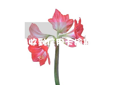 收到信用卡逾期商谈邮件
