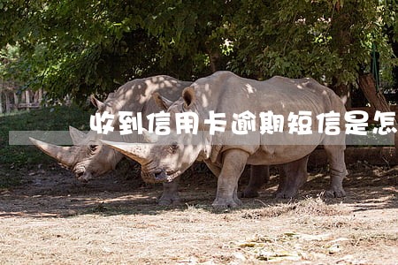 收到信用卡逾期短信是怎么样的 收到信用卡逾期短信是怎么样的