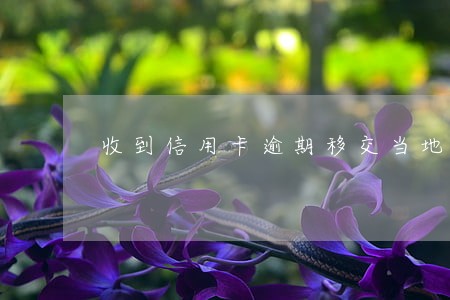 收到信用卡逾期移交当地派出所 收到信用卡逾期移交当地派出所