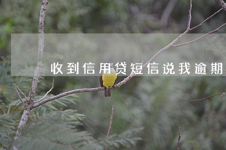 收到信用贷短信说我逾期
