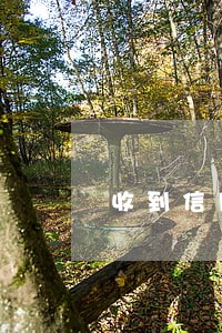 收到信用逾期的短信怎么办 收到信用逾期的短信怎么办
