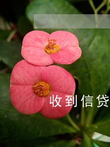 收到信贷逾期短信通知街道办 收到信贷逾期短信通知街道办