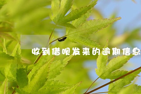 收到借呗发来的逾期信息是真的吗 收到借呗发来的逾期信息是真的吗