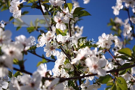 收到借呗逾期信息 收到借呗逾期信息