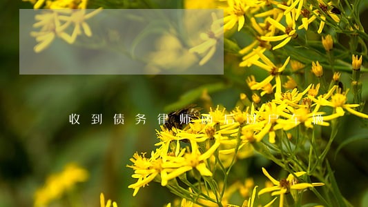 收到债务律师函后过户车辆 收到债务律师函后过户车辆