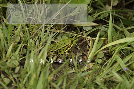 收到催缴律师函 收到催缴律师函