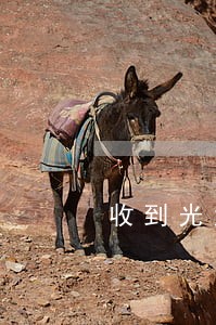 收到光大逾期短信 收到光大逾期短信