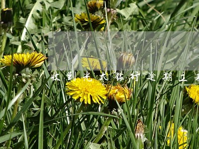 收到光大银行逾期立案短信 收到光大银行逾期立案短信