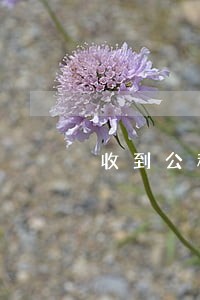 收到公积金贷款逾期短信 收到公积金贷款逾期短信