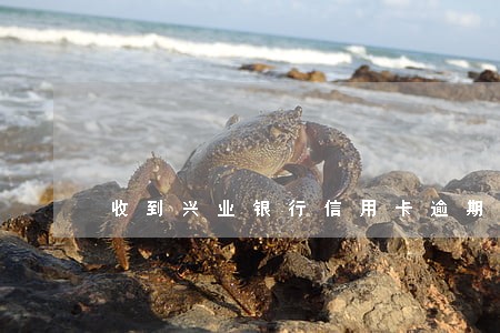 收到兴业银行信用卡逾期信息 收到兴业银行信用卡逾期信息