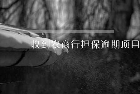 收到农商行担保逾期项目 收到农商行担保逾期项目