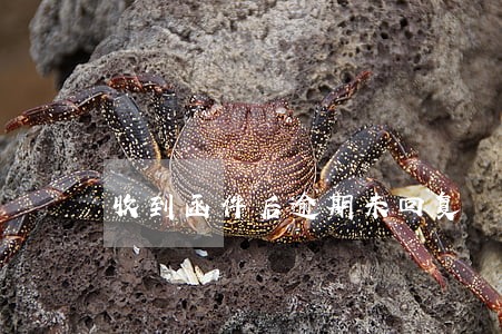 收到函件后逾期未回复