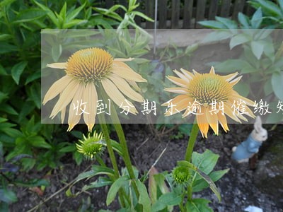 收到分期乐逾期催缴短信 收到分期乐逾期催缴短信