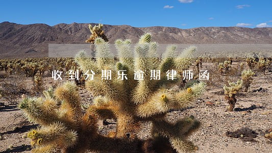收到分期乐逾期律师函 收到分期乐逾期律师函