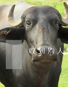 收到别人借款逾期短信 收到别人借款逾期短信